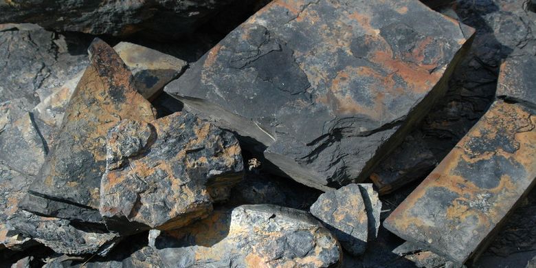 Batu bara berasal dari daerah