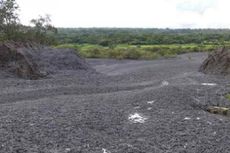 Lumpur Dingin Muncul di NTT, Tiga Hektar Sawah Warga Rusak 
