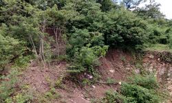 Banjir dan Longsor Bikin Tanah Kurang Subur, BRIN Jelaskan Alasannya