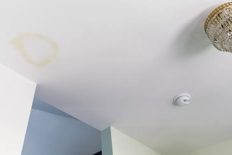 Ilustrasi noda air pada plafon rumah