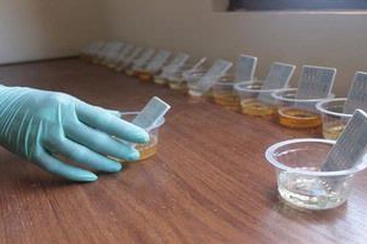 Badan Narkotika Nasional Kota Malang, Selasa (2/4/2013) melakukan tes urin karyawan PLN Kota Malang. Selain untuk mencegah perkembangan penyalahgunaan narkoba, kegiatan ini juga dianggap sebagai edukasi pada masyarakat agar terhindar dari narkoba.
