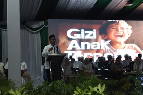 TKN Prabowo-Gibran soal Pernyataan FX.Rudy: Kita Jawab dengan Senyum