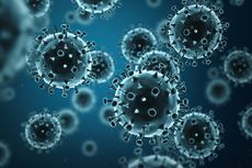 Mengenal Virus Corona, Masih Keluarga SARS dan MERS Sebabkan Pneumonia 