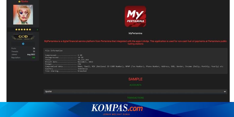 Bjorka Muncul Lagi, Diduga Bocorkan 44 Juta Data MyPertamina