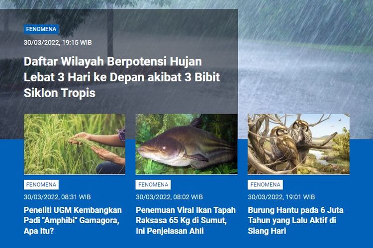 Tangkapan layar berita populer Sains sepanjang Rabu (30/3/2022) hingga 31/3/2022). Di antaranya, potensi hujan lebat akibat 3 bibit siklon tropis, padi Amphibi Gamagoro dikembangkan peneliti UGM, penemuan viral ikan tapah raksasa, dan burung hantu pada 6 juta tahun lalu aktif di siang hari.