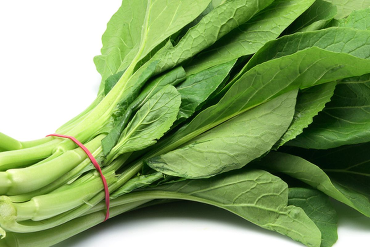 Ilustrasi caisim atau sawi hijau. 