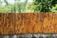 Nih Keuntungan Punya Pagar Rumah dari Material Bambu