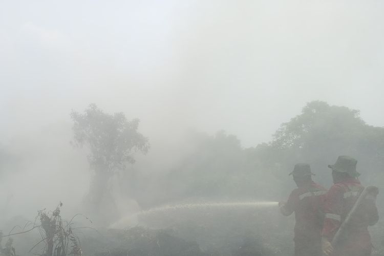 Petugas Manggala Agni berjibaku memadamkan api karhutla di Desa Karya Indah, Kecamatan Tapung, Kabupaten Kampar, Riau, Minggu (1/10/2023).
