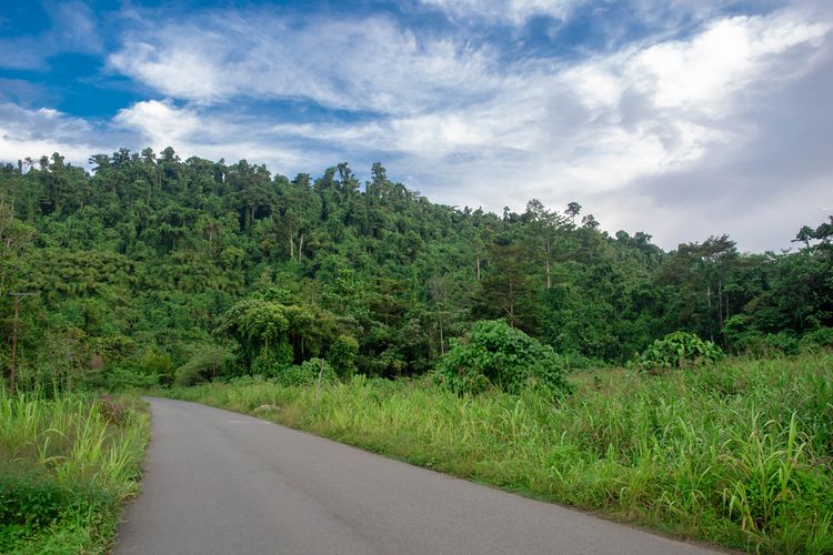 Jalan yang menghubungkan Nabire dan Makimi di Papua Tengah.