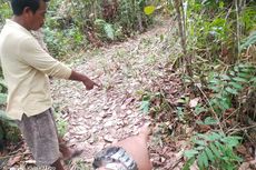 Susul Ibu ke Kebun, Bocah 10 Tahun Malah Dibunuh lalu Diperkosa 