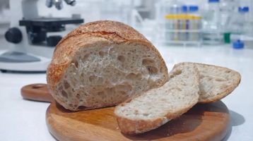 BRIN Bikin Sourdough Beras Merah Segreng Handayani dari Gunungkidul