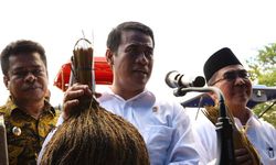 Meningkat Tajam, Kementan Gencarkan Ekspor Beras Premium dan Khusus