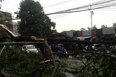 Hujan Deras Sebabkan Pohon Tumbang di Depok