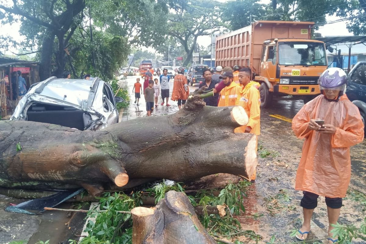 Mobil Tertimpa Pohon Klaim Asuransi Bisa Ditolak