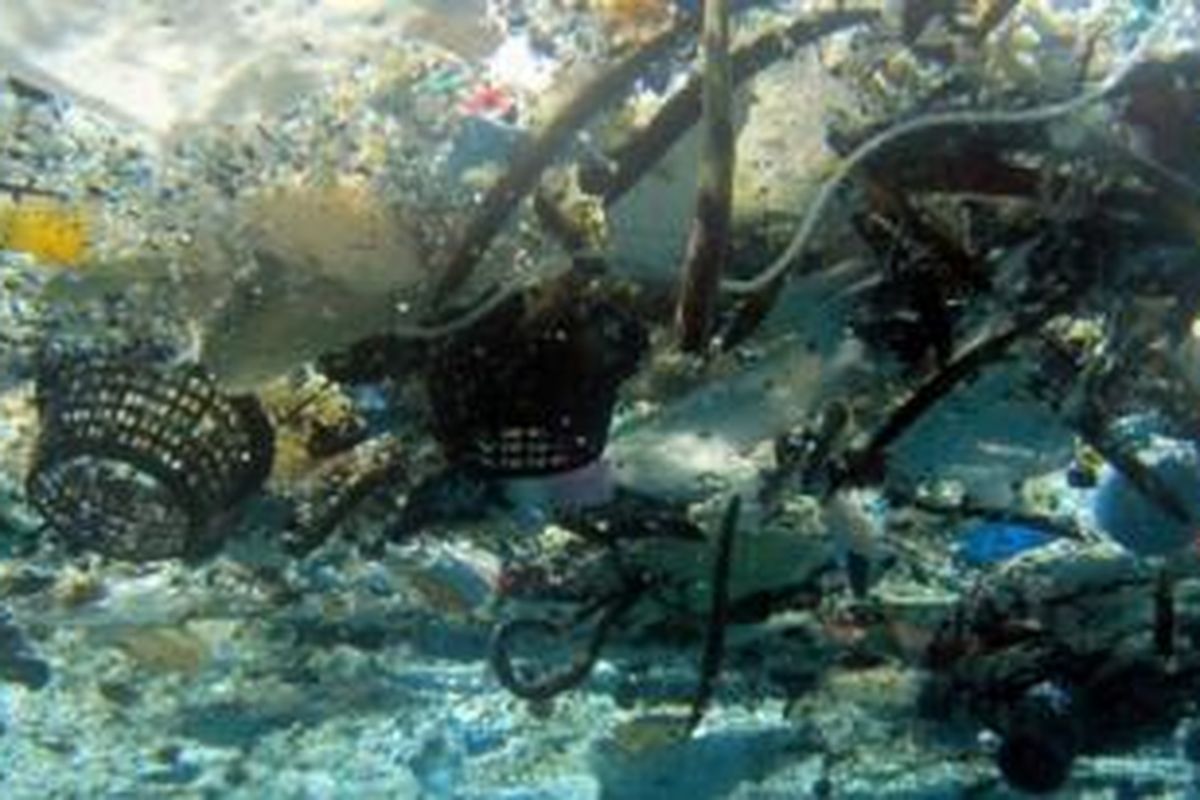 Sampah plastik di Pantai Hanauma, Hawaii. 