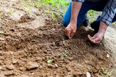 Melihat 10 Manfaat Berkebun yang Mungkin Tak Kita Duga
