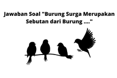 Jawaban Soal 