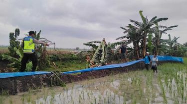 Usai Tanam Padi, Petani Lansia di Grobogan Tewas Tersambar Petir di Tengah Sawah