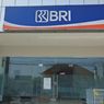 Penyaluran KUR BRI Capai Rp 65,95 Triliun Hingga April 2026, 66,47 Persen ke Sektor Produktif