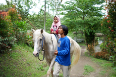 15 Aktivitas Outdoor di Mini Zoo Jogja Exotarium, Foto Bareng Reptil