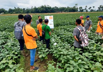 Gabung Kemitraan dengan Austindo, Petani Ini Bisa Raup Rp 200 Juta Per Tahun 