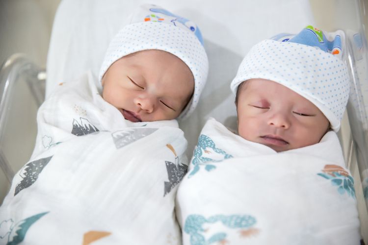 Ilustrasi bayi kembar, kelahiran kembar, anak kembar.