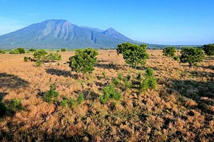 Taman Nasional Baluran di Jawa Timur.(BARRY KUSUMA)