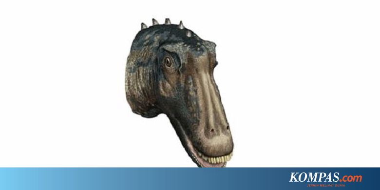 107+ Gambar Kolase Dinosaurus Gratis Terbaik