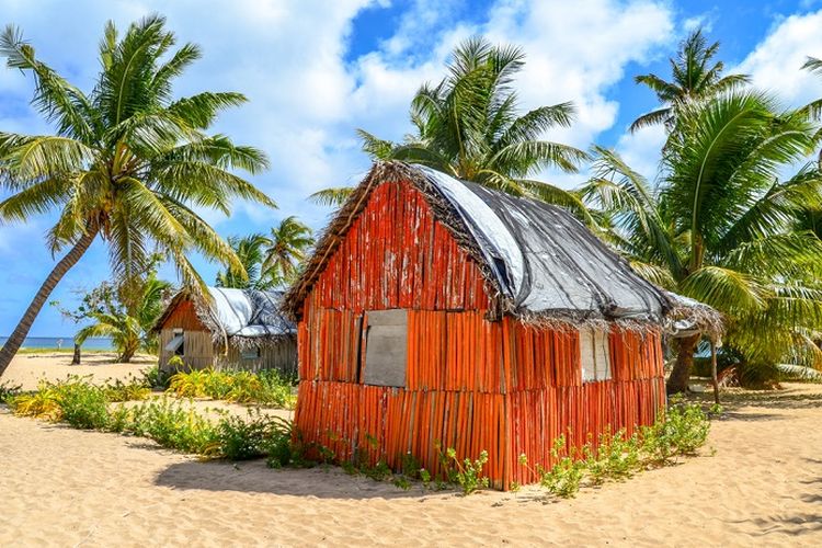 Ilustrasi rumah tradisional masyarakat Tonga di pulau Uoleva, Ha'apai