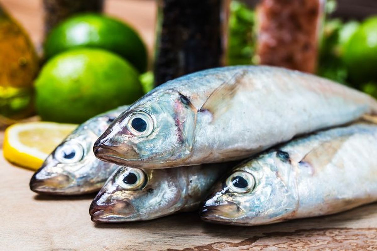 Ilustrasi ikan segar.