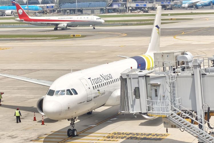 TransNusa Tambah Penerbangan Jakarta–Singapura Jadi 4 Kali Sehari, Cek Jadwalnya