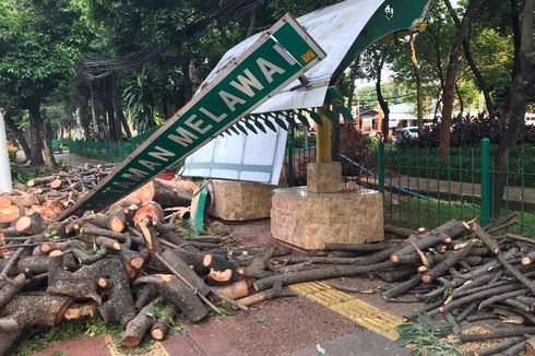 Halte Bus Taman Melawai Rusak Tertimpa Pohon, Perbaikan Makan Waktu 3 Hari