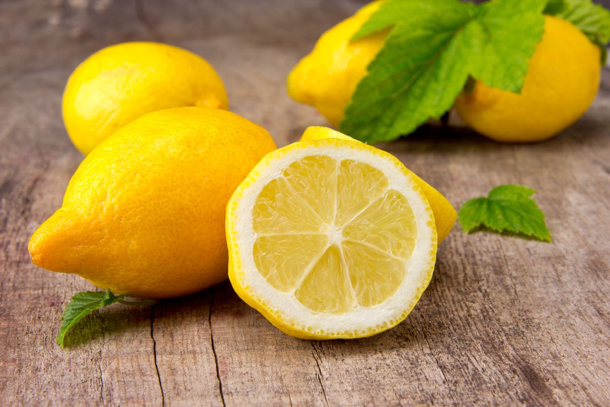 Ilustrasi buah lemon