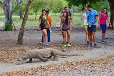 Tarif Masuk Pulau Komodo Rp 3,75 Juta Ditunda sampai Januari 2023