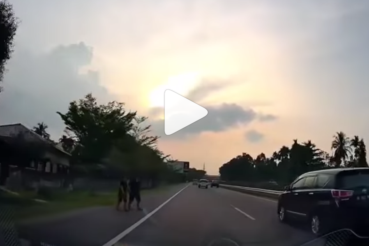 video pejalan kaki nekat menyeberang di jalan tol