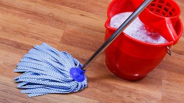 Air Bekas Pel Bisa untuk Menyiram Tanaman, Ini Syaratnya