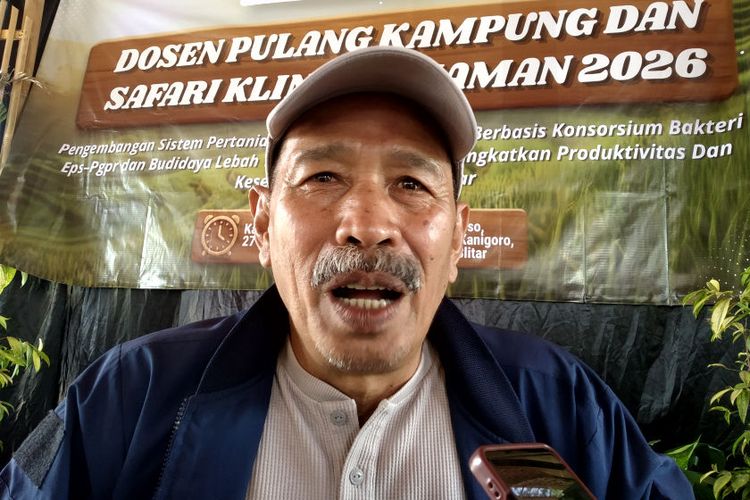 Pakar IPB Ingatkan Potensi Ledakan Hama Dampak El Nino Godzilla, Ancam Produksi Beras