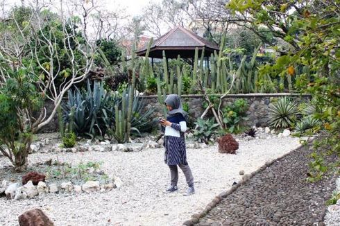 8 Spot Menarik di Kebun Raya Bogor, Instagramable Sekaligus Edukatif
