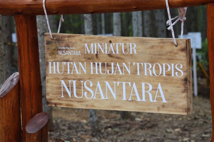 Miniatur Hutan Hujan Tropis Nusantara