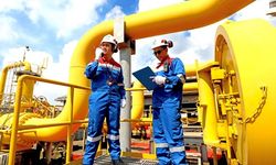 PGN Subholding Gas Pertamina Garap Proyek Biomethane