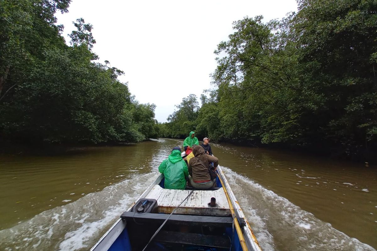 Salah satu sungai kecil yang ada di kawasan mangrove Delta Mahakam saat disusur menggunakan perahu milik nelayan setempat.