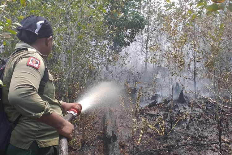 Petugas Manggala Agni Daops Dumai memadamkan api karhutla di Jalan Dahlia, Kelurahan Teluk Makmur, Kecamatan Medang Kampai, Kota Dumai, Riau, Rabu (27/3/2019).