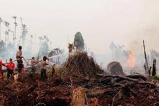 Kebakaran Hutan di Riau, Dua Perusahaan Sawit Jadi Tersangka