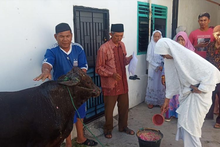 Peserta kurban memandikan sapi sebelum disembelih di Masjid Nurul Huda, Padang. (Dok: Pengurus Masjid Nurul Huda)