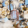 Keharuman Bunga Sakura di Bawah Gemerlap Bintang dalam Wangi Baru L'Occitane
