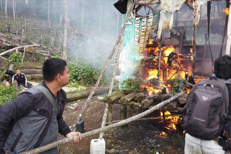 Pondok milik warga yang menanam ganja ditemukan polisi di kawasan Tematang Selih Bukit Barisan, Kecamatan Pendopo Barat, Kabupaten Empat Lawang, Sumatera Selatan.