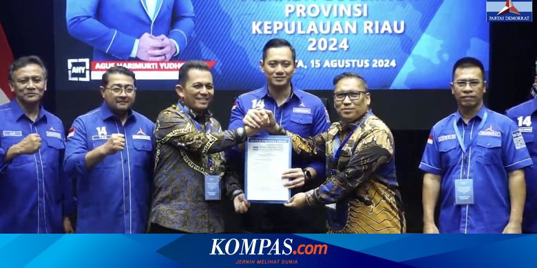 Demokrat Deklarasikan 3 Cagub dan 51 Calon Bupati/Wali Kota, Ini Daftarnya