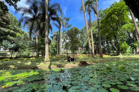 Pengalaman Berkunjung ke Taman Langsat, Tempat Healing Murah di Jakarta