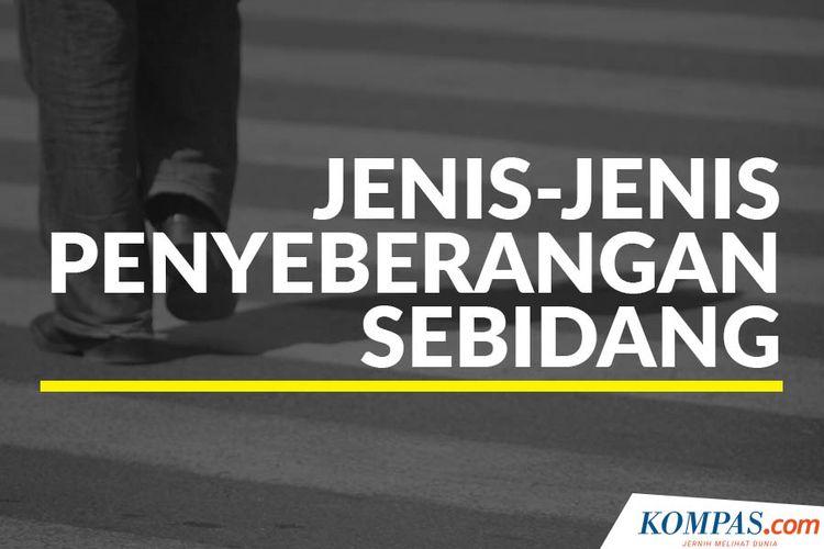 Jenis-Jenis Penyeberangan Sebidang