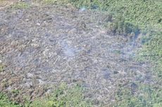 Kawasan Hutan Cagar Biosfer Giam Siak Kecil di Riau Juga Ikut Terbakar